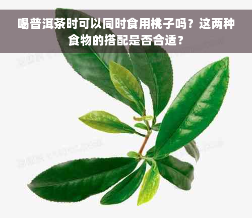 喝普洱茶时可以同时食用桃子吗？这两种食物的搭配是否合适？