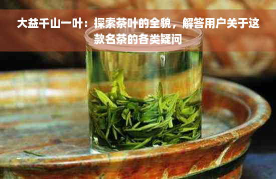 大益千山一叶：探索茶叶的全貌，解答用户关于这款名茶的各类疑问