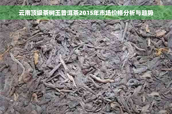 云南顶级茶树王普洱茶2015年市场价格分析与趋势