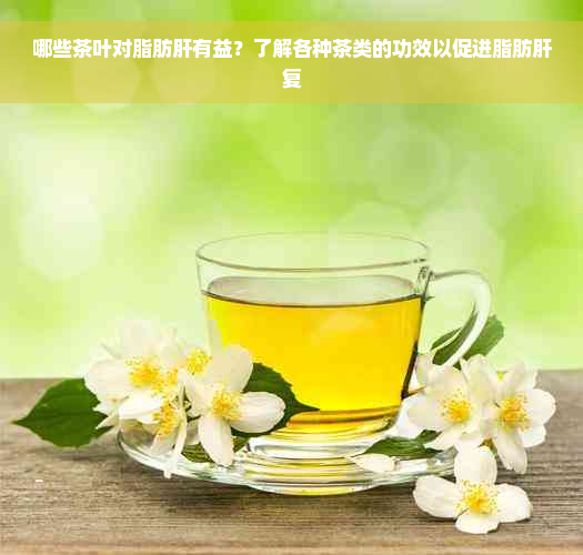 哪些茶叶对脂肪肝有益？了解各种茶类的功效以促进脂肪肝复