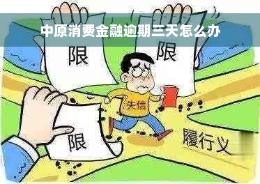 中原消费金融逾期三天怎么办