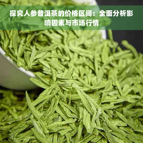 探究人参普洱茶的价格区间：全面分析影响因素与市场行情