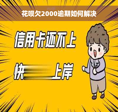 花呗欠2000逾期如何解决