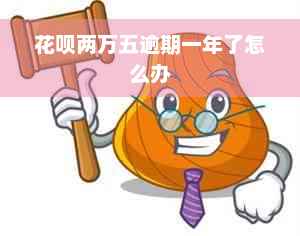 花呗两万五逾期一年了怎么办