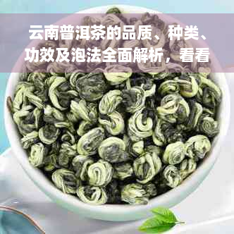 云南普洱茶的品质、种类、功效及泡法全面解析，看看哪种普洱茶最适合你？