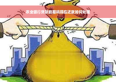 农业银行贷款能期吗现在还款如何处理