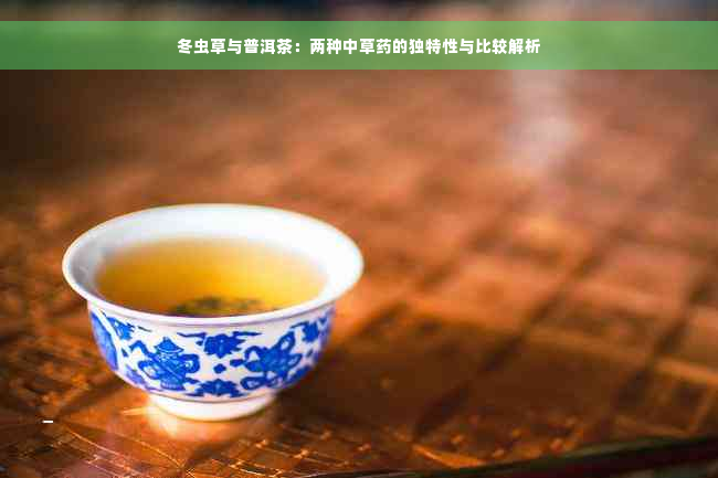 冬虫草与普洱茶：两种中草药的独特性与比较解析