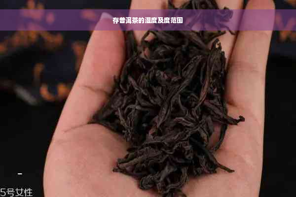 存普洱茶的湿度及度范围