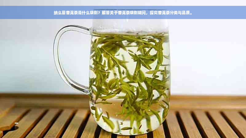 纳么田普洱茶是什么级别？解答关于普洱茶级别疑问，探究普洱茶分类与品质。