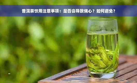 普洱茶饮用注意事项：是否会导致烧心？如何避免？