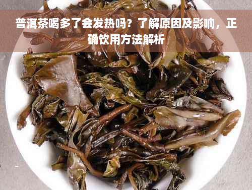 普洱茶喝多了会发热吗？了解原因及影响，正确饮用方法解析