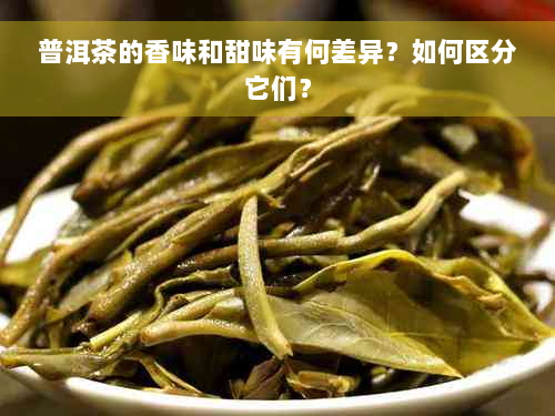 普洱茶的香味和甜味有何差异？如何区分它们？