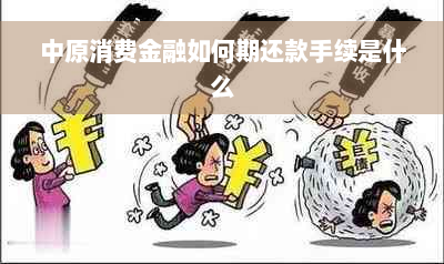 中原消费金融如何期还款手续是什么