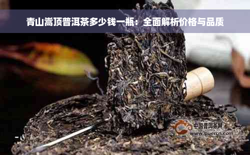 青山嵩顶普洱茶多少钱一瓶：全面解析价格与品质