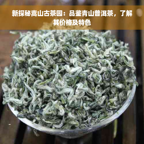 新探秘嵩山古茶园：品鉴青山普洱茶，了解其价格及特色