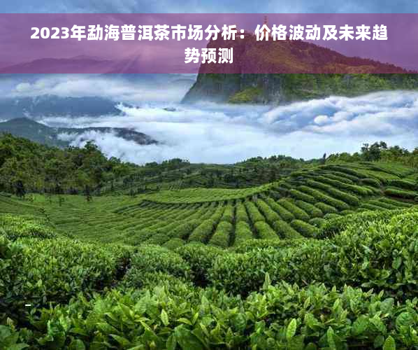 2023年勐海普洱茶市场分析：价格波动及未来趋势预测