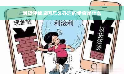 网贷仲裁驳回怎么办理的步骤是什么