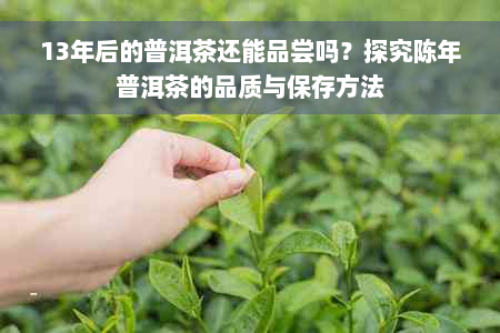 13年后的普洱茶还能品尝吗？探究陈年普洱茶的品质与保存方法