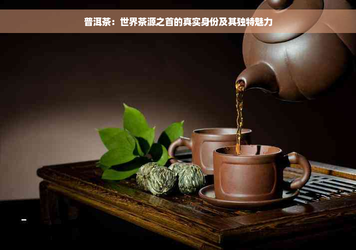 普洱茶：世界茶源之首的真实身份及其独特魅力