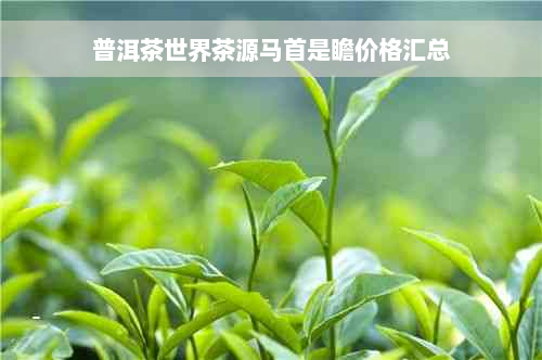 普洱茶世界茶源马首是瞻价格汇总