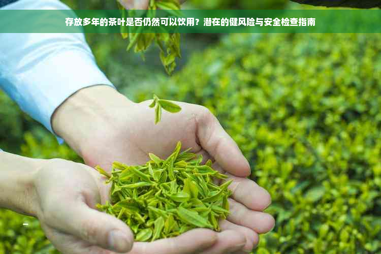 存放多年的茶叶是否仍然可以饮用？潜在的健风险与安全检查指南