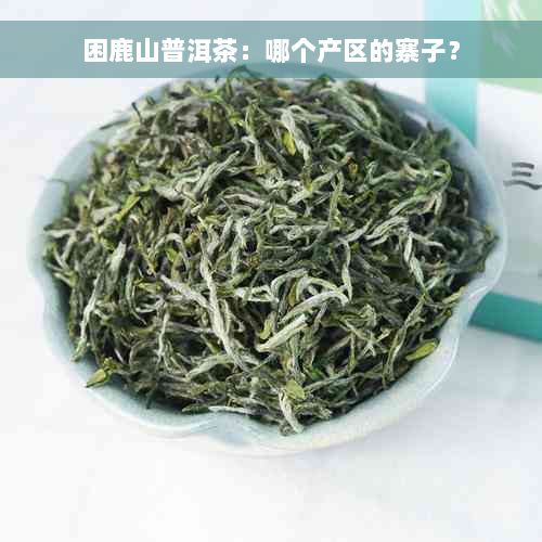 困鹿山普洱茶：哪个产区的寨子？