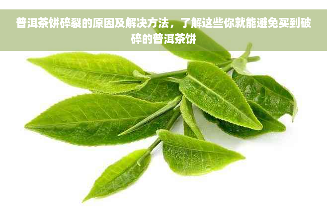 普洱茶饼碎裂的原因及解决方法，了解这些你就能避免买到破碎的普洱茶饼