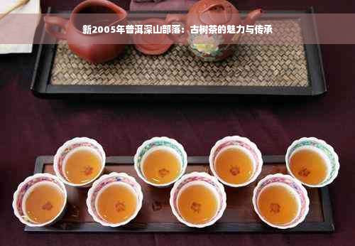 新2005年普洱深山部落：古树茶的魅力与传承