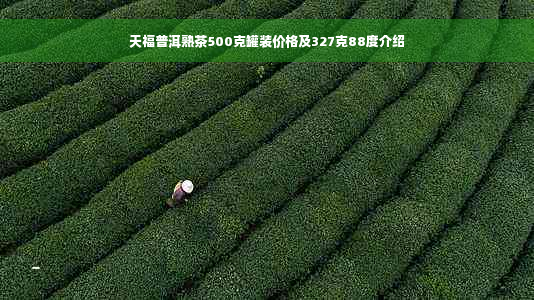 天福普洱熟茶500克罐装价格及327克88度介绍