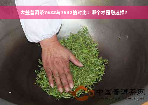 大益普洱茶7532与7542的对比：哪个才是您选择？