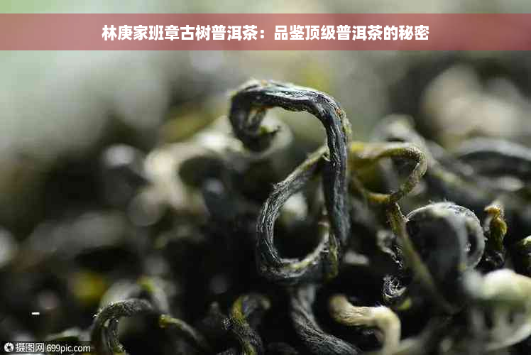 林庚家班章古树普洱茶：品鉴顶级普洱茶的秘密