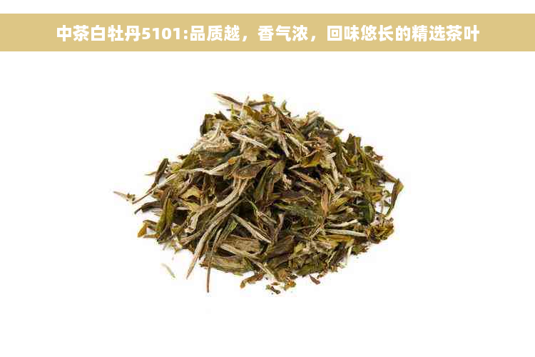 中茶白牡丹5101:品质越，香气浓，回味悠长的精选茶叶