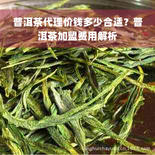 普洱茶代理价钱多少合适？普洱茶加盟费用解析