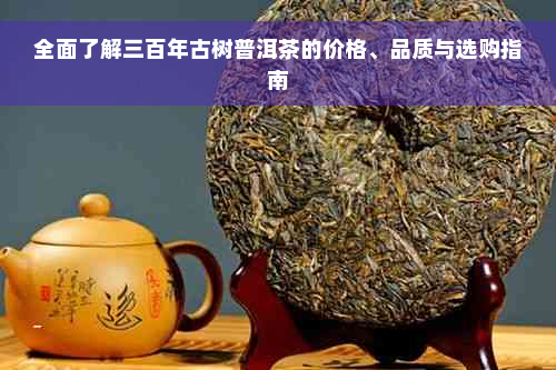 全面了解三百年古树普洱茶的价格、品质与选购指南