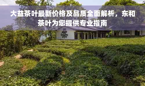 大益茶叶最新价格及品质全面解析，东和茶叶为您提供专业指南