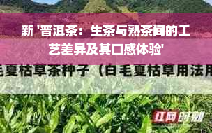 新 '普洱茶：生茶与熟茶间的工艺差异及其口感体验'