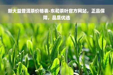 新大益普洱茶价格表-东和茶叶官方网站，正品保障，品质优选