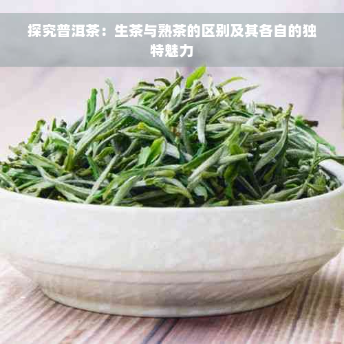 探究普洱茶：生茶与熟茶的区别及其各自的独特魅力