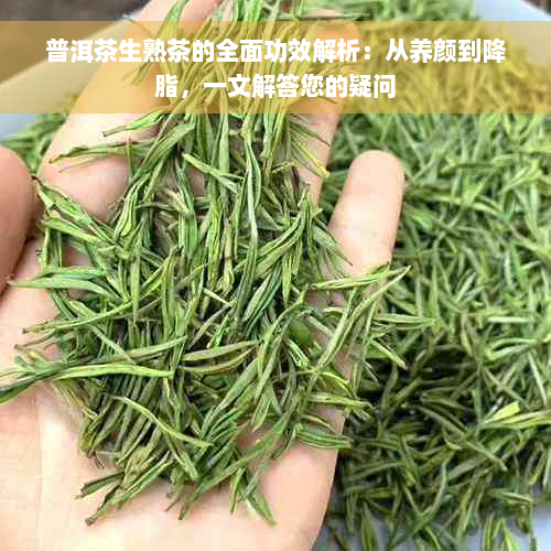 普洱茶生熟茶的全面功效解析：从养颜到降脂，一文解答您的疑问