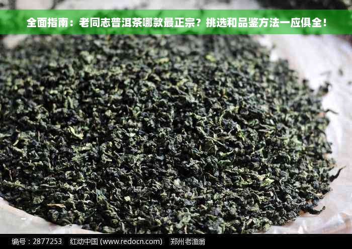 全面指南：老同志普洱茶哪款最正宗？挑选和品鉴方法一应俱全！