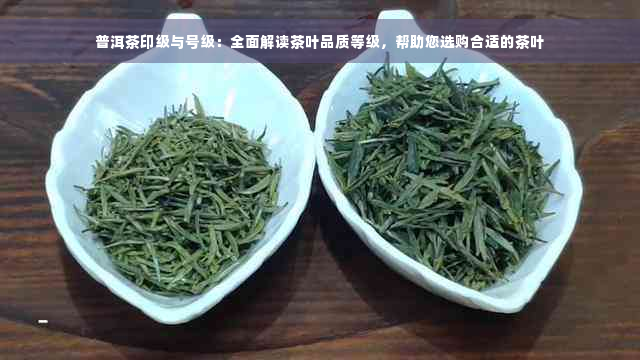 普洱茶印级与号级：全面解读茶叶品质等级，帮助您选购合适的茶叶