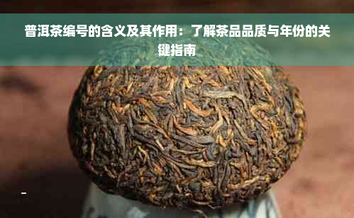 普洱茶编号的含义及其作用：了解茶品品质与年份的关键指南