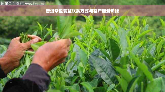 普洱茶包装盒联系方式与客户服务热线