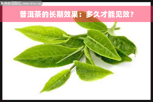 普洱茶的长期效果：多久才能见效？