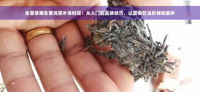 全面掌握生普洱茶冲泡时间：从入门到高级技巧，让茶香四溢的秘密解析