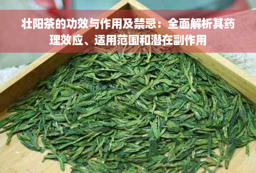 壮阳茶的功效与作用及禁忌：全面解析其药理效应、适用范围和潜在副作用