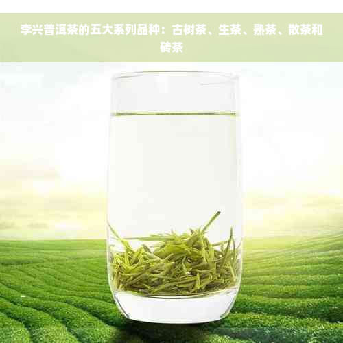 李兴普洱茶的五大系列品种：古树茶、生茶、熟茶、散茶和砖茶