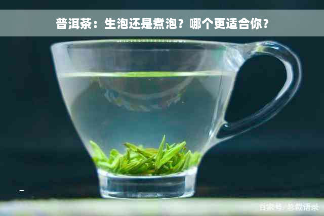 普洱茶：生泡还是煮泡？哪个更适合你？