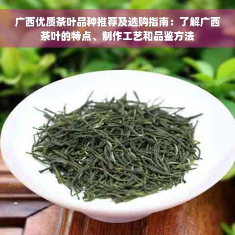 广西优质茶叶品种推荐及选购指南：了解广西茶叶的特点、制作工艺和品鉴方法