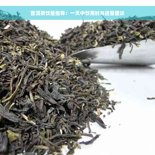 普洱茶饮量指导：一天中饮用时与适量建议